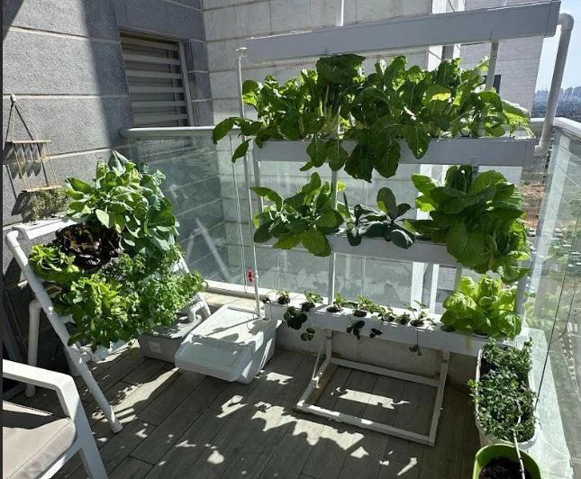 Do Homegrown Hydroponic Vegetables Taste Better Than Store-Bought Prod