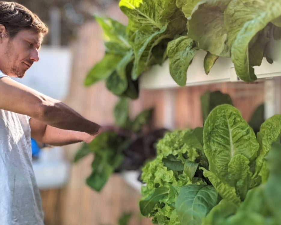 Essential Hydroponic Equipment for Beginners: Your Complete Guide to a