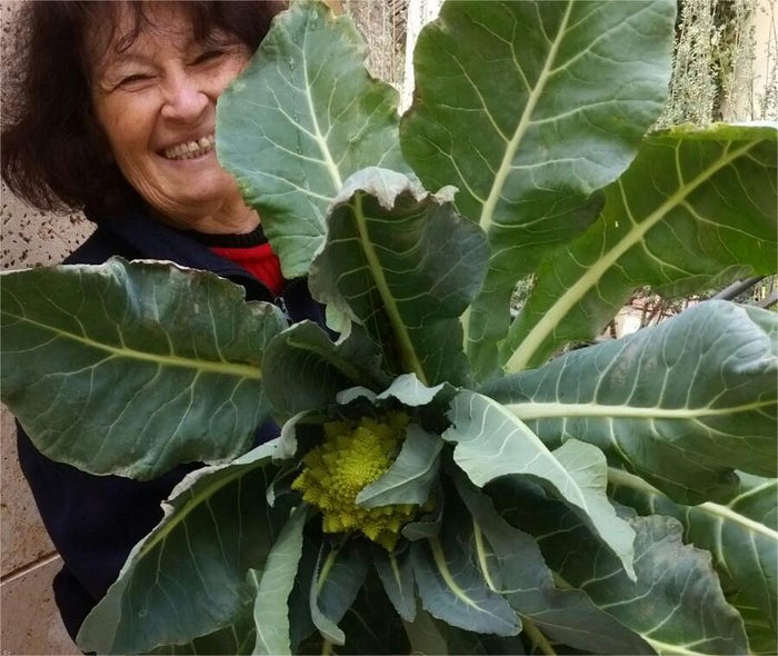 5 Surprising Ways Your Hydroponic System Is Good for Your Mental Healt