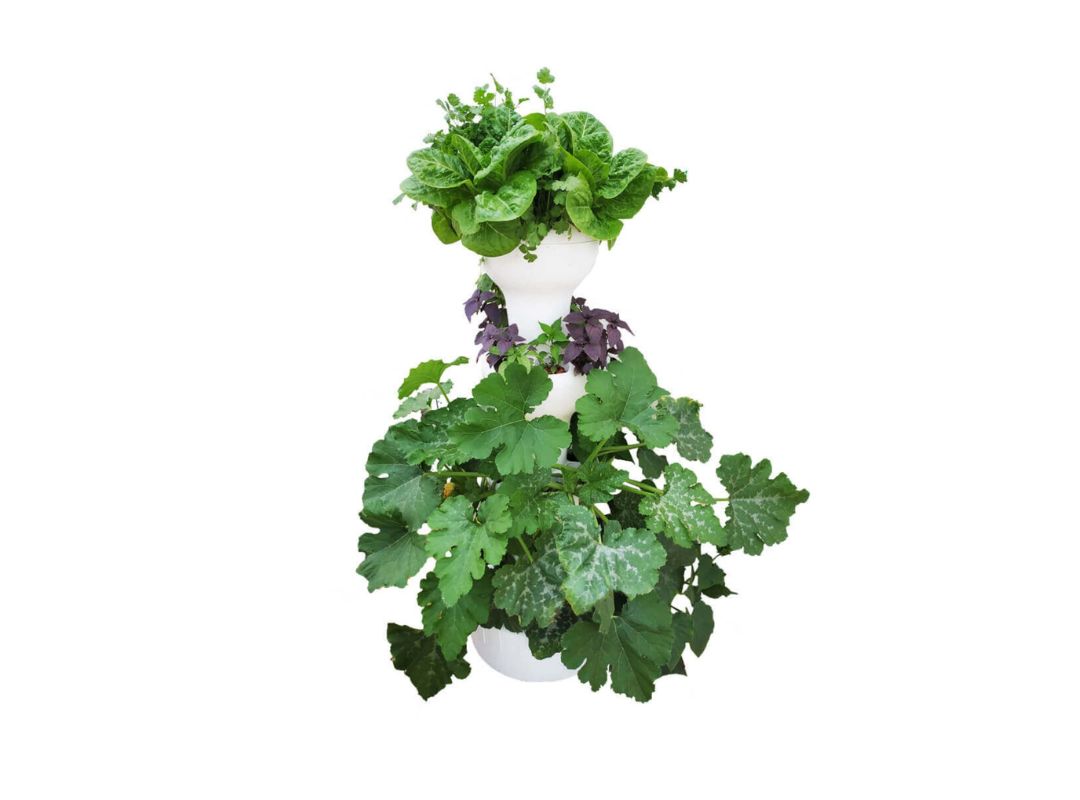 Airponic Fruit - Hydroponic Tower Garden System