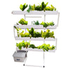 Wally 32 – Hydroponic Vertical System for Growing 32 Greens and Fruits