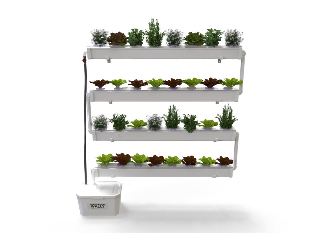 Wally32 hydroponic system