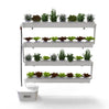 Wally 32 – Hydroponic Vertical System for Growing 32 Greens and Fruits