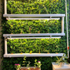 Wally 32 – Hydroponic Vertical System for Growing 32 Greens and Fruits