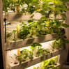 Wally 32 – Hydroponic Vertical System for Growing 32 Greens and Fruits