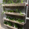 Wally 32 – Hydroponic Vertical System for Growing 32 Greens and Fruits