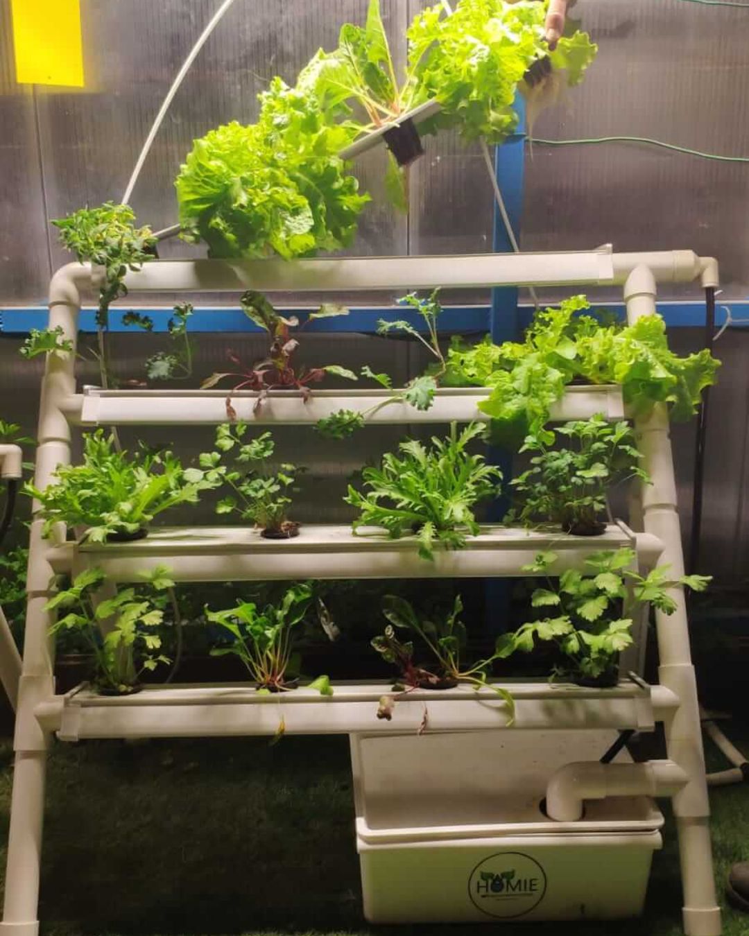 Homie 28 – Home Hydroponic Growing System