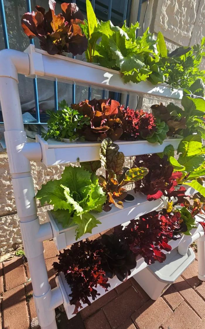 A Homie Smart garden grown by a NatureTech customer.