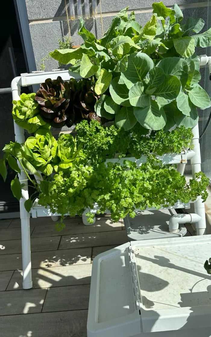 A Homie Smart garden grown by a NatureTech customer.