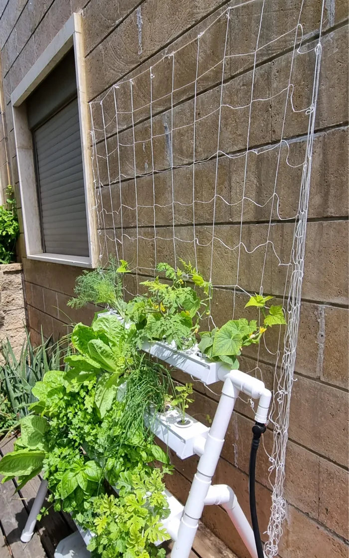 A Homie Smart garden grown by a NatureTech customer.