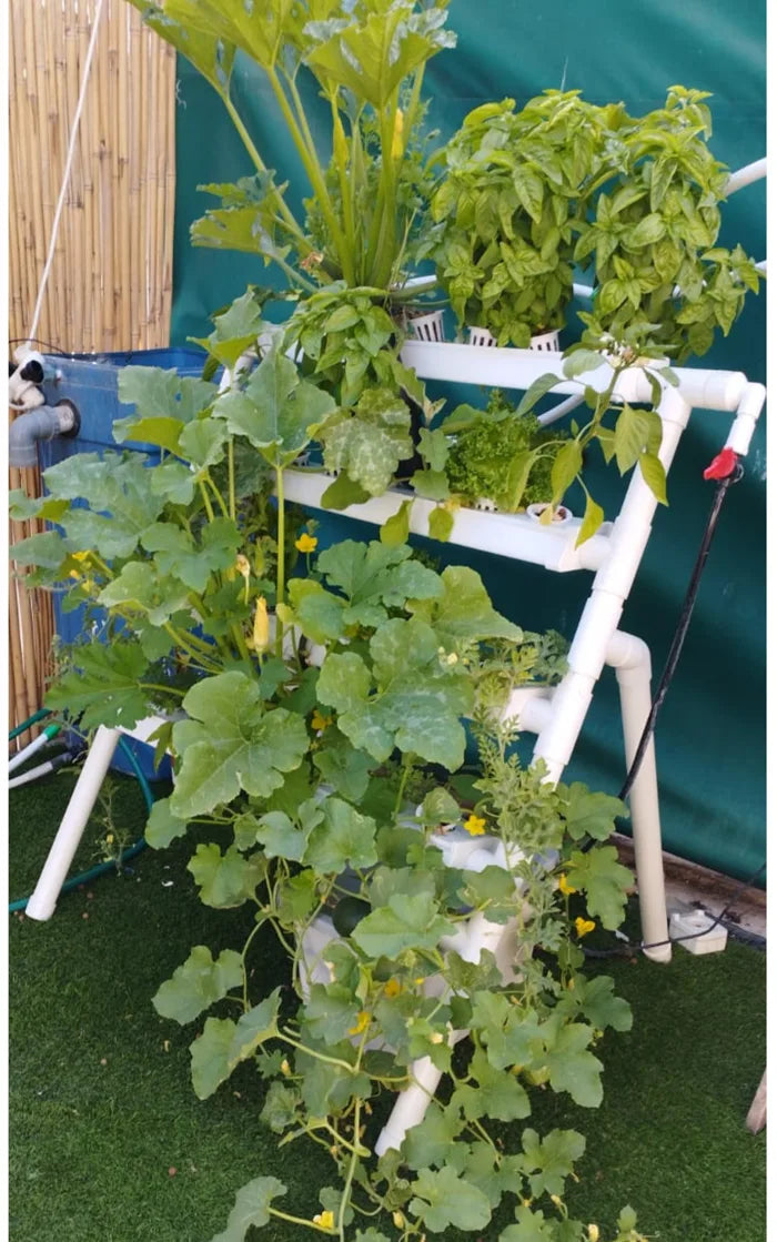 A Homie Smart garden grown by a NatureTech customer.