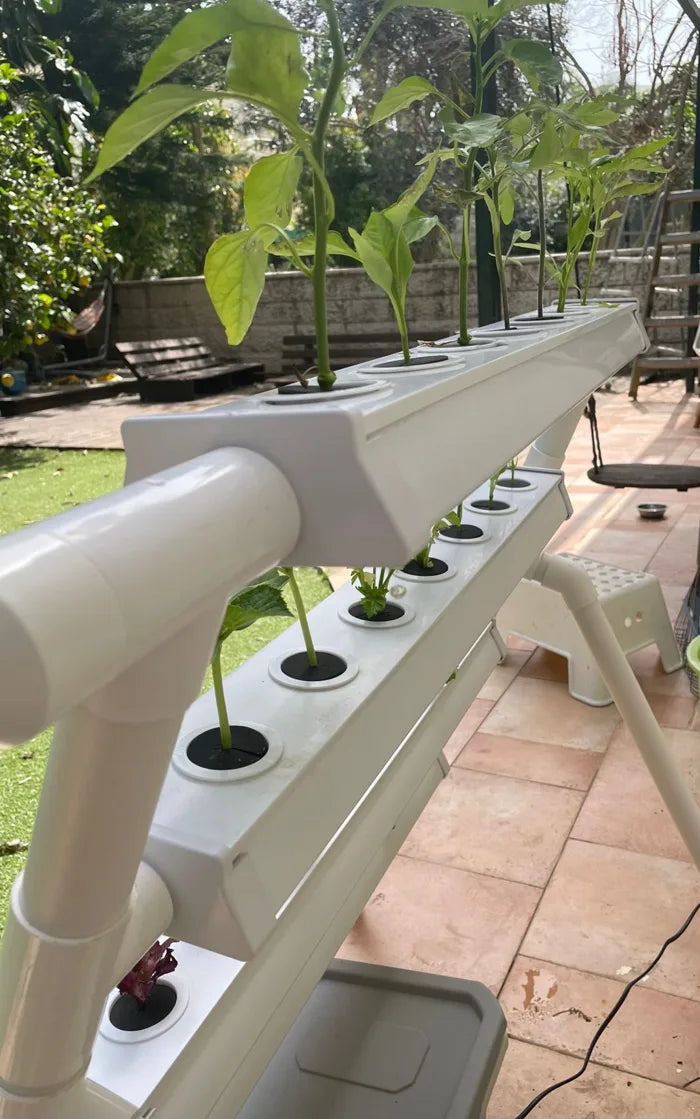 A Homie Smart garden grown by a NatureTech customer.