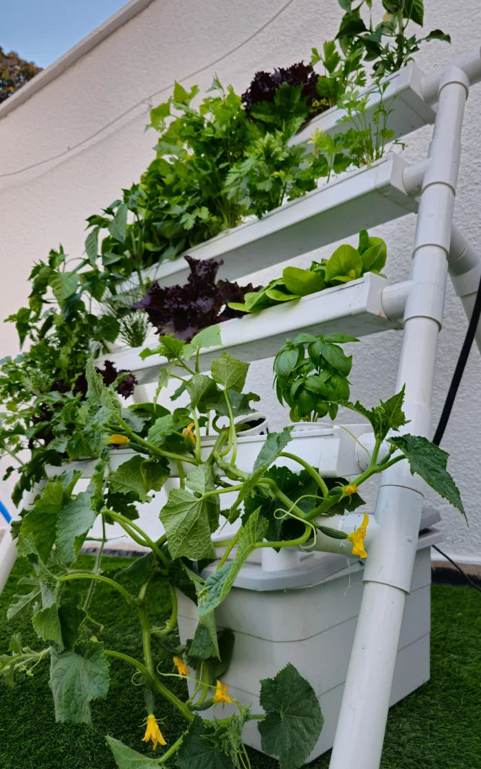 A Homie Smart garden grown by a NatureTech customer.