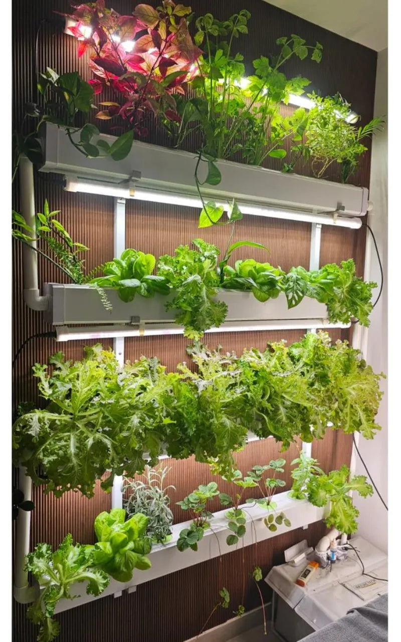 A NatureTech customer's plants growing at home