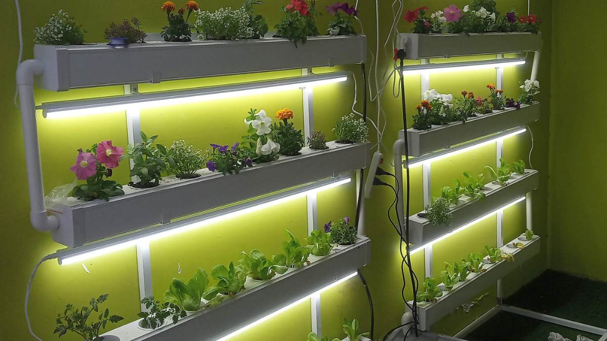 The Grow Light Bible: Everything You Need to Know Before Purchasing a