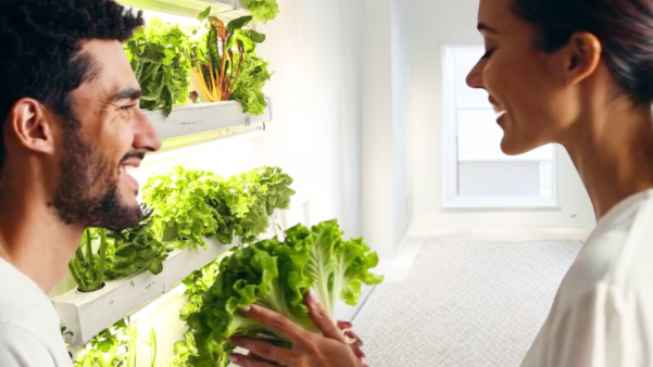 6 Reasons a Hydroponic System is the Most Romantic Gift of the Modern