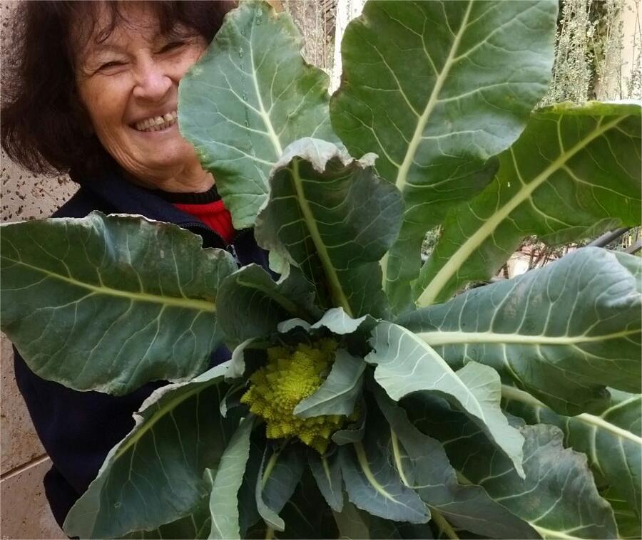 5 Surprising Ways Your Hydroponic System Is Good for Your Mental Healt