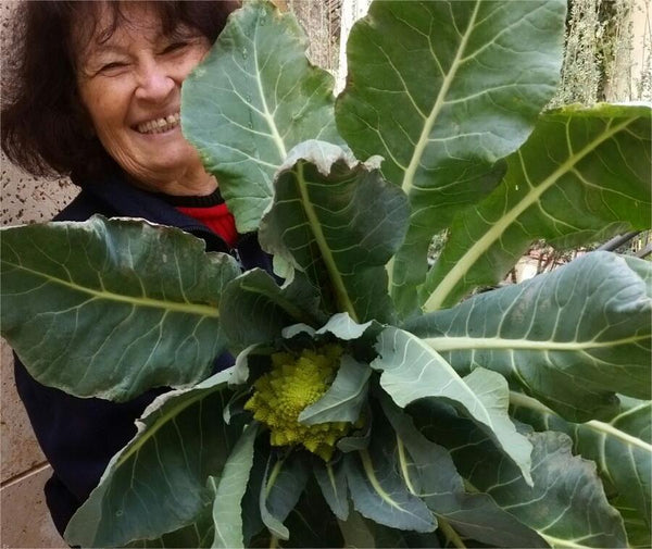 5 Surprising Ways Your Hydroponic System Is Good for Your Mental Healt