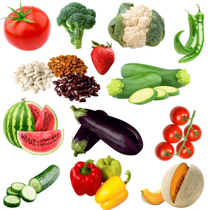 Choosing a Home Hydroponic System: 10 Things to Consider Before You Bu