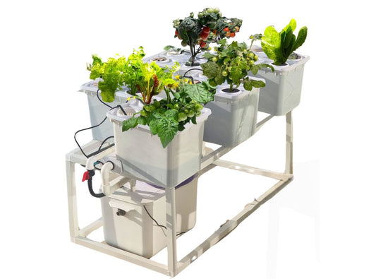 Tobato 5 – Dutch Bucket Hydroponic Growing System