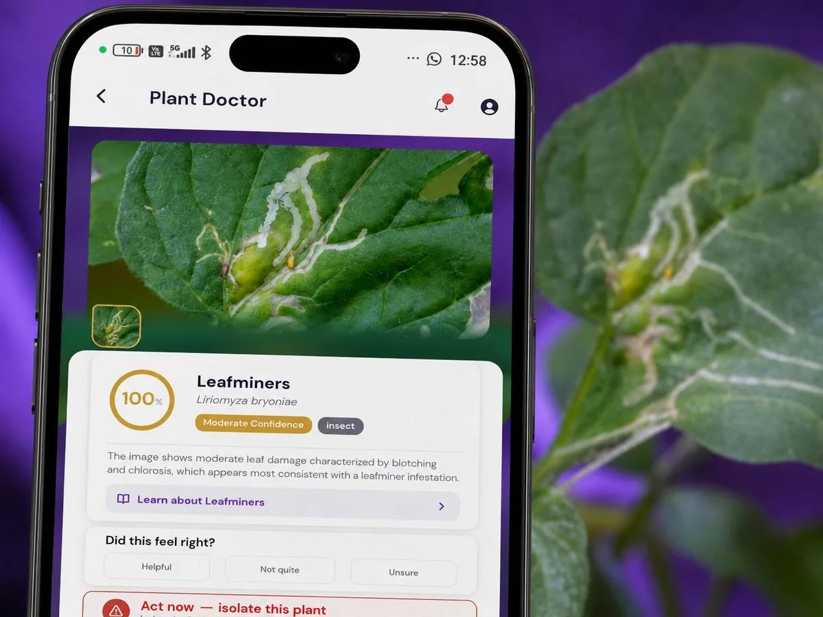 Vegardi Plant Doctor screen showing a diagnosis of Leafminers (Liriomyza bryoniae) at 100 percent moderate confidence, with a 'Learn about Leafminers' link, against a real leaf with visible insect damage in the background.