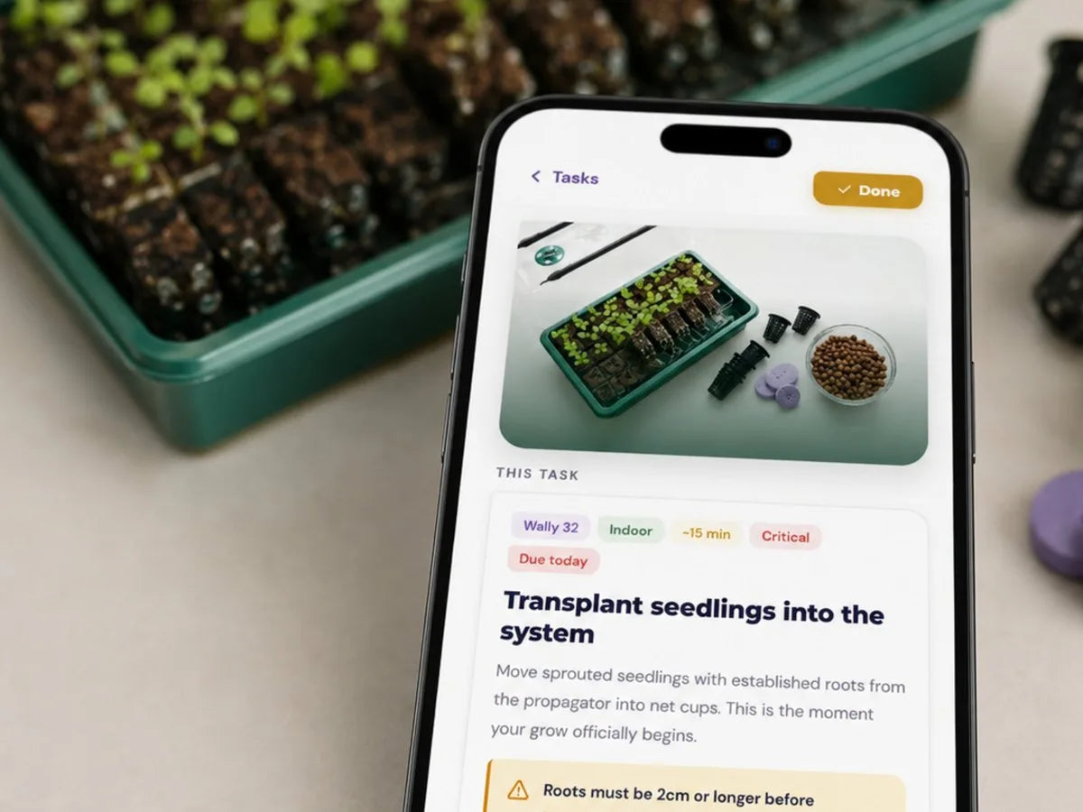 Vegardi task detail: 'Transplant seedlings into the system', with chips for Wally 32, Indoor, 15 min, Critical, Due today, a safety note about minimum root length, and an Ask Gardi link.