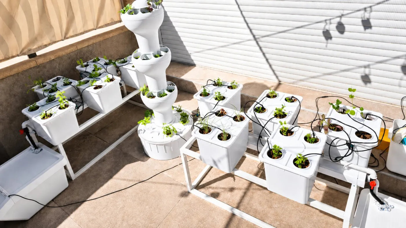 Customer growing with a NatureTech system at home